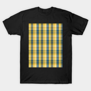 Sunset and Sunrise Aesthetic Conall 2 Hand Drawn Textured Plaid Pattern T-Shirt